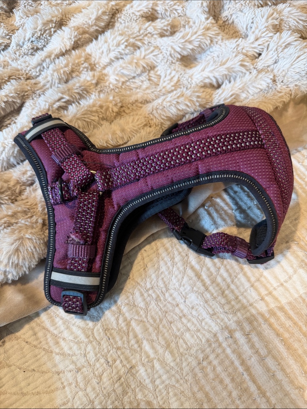 Top Paw Plum Purple Padded Small Pet Harness with Reflective Trim